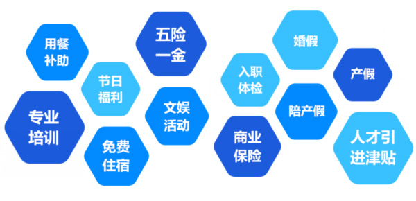 提供全面、系统、专业的培训和广阔的<br>职业发展空间和提升机会